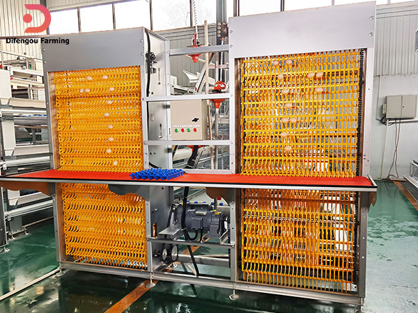 Poultry egg collection machine