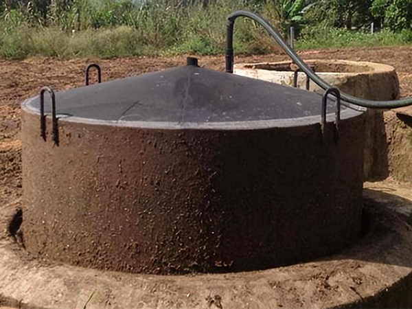 Biogas digester