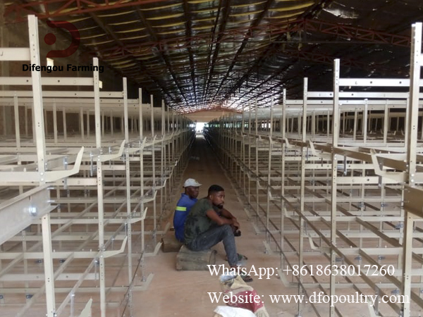 30,000 Broilers farm in Beira Mozambique H type broiler battery cage
