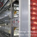 H type poultry battery cage